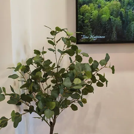 Апартаменты Sunset Rebreanu *