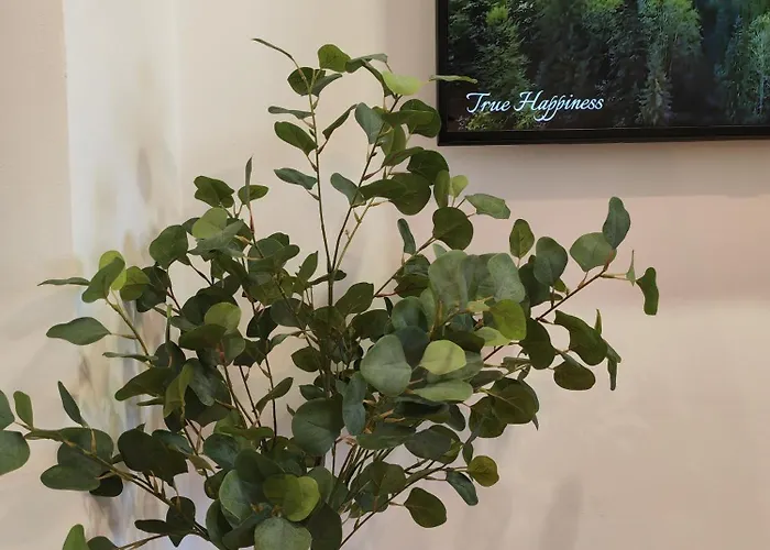 Apartman Sunset Rebreanu *