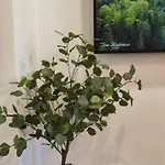 Apartman Sunset Rebreanu *